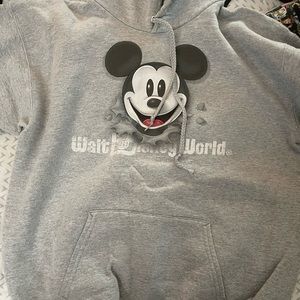Shop Disney Parks sweatshirt
